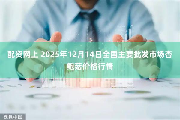 配资网上 2025年12月14日全国主要批发市场杏鲍菇价格行情